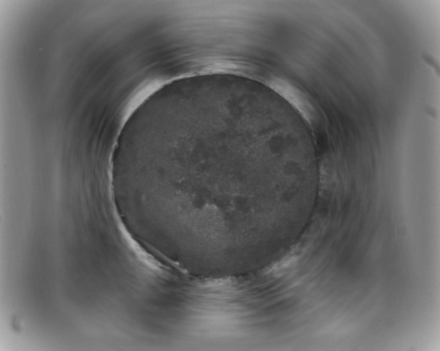 X0000099301047200805021227