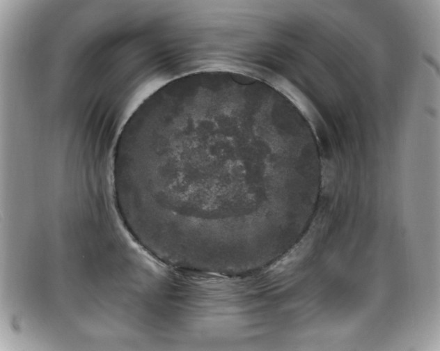 X0000099301048200805021227