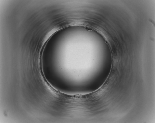 X0000099301050200805021227