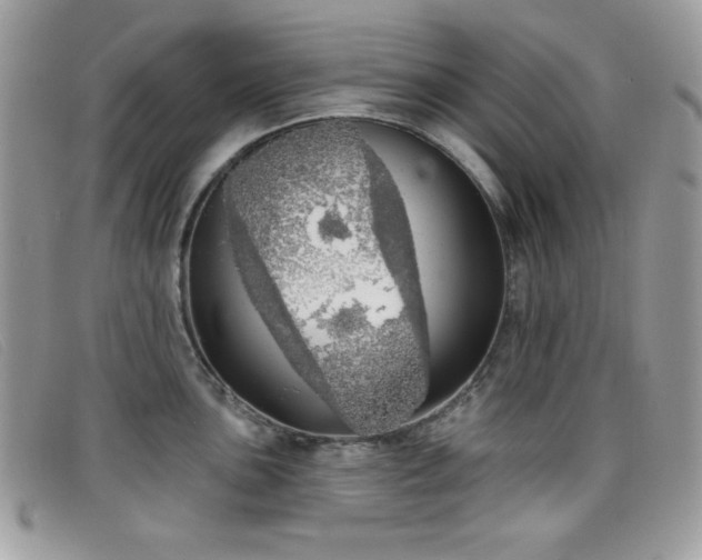 X0000099301051200805021227