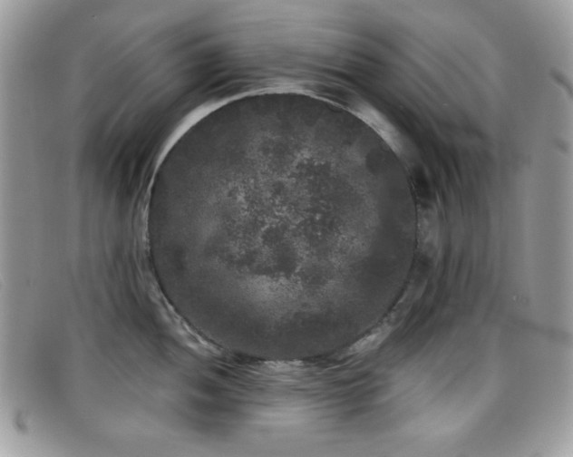 X0000099301052200805021227