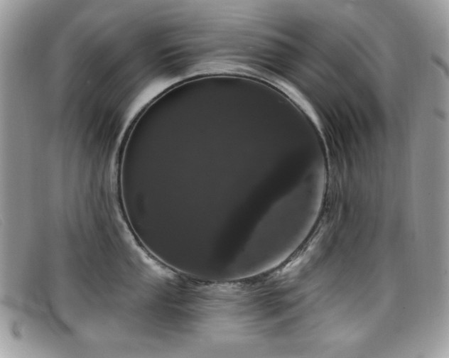 X0000099301053200805021227