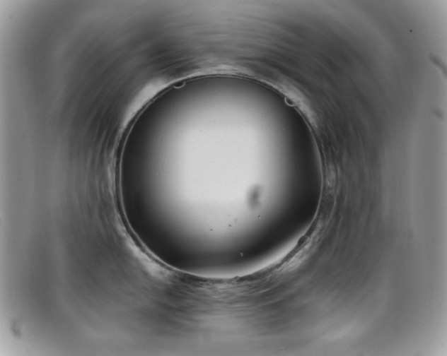 X0000099301054200805021227