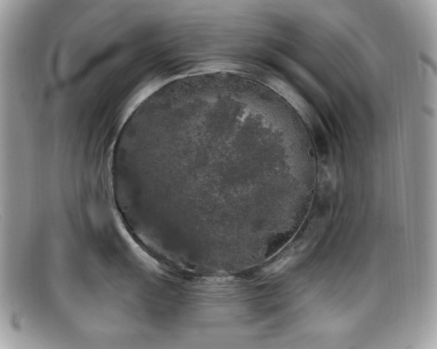 X0000099301055200805021227