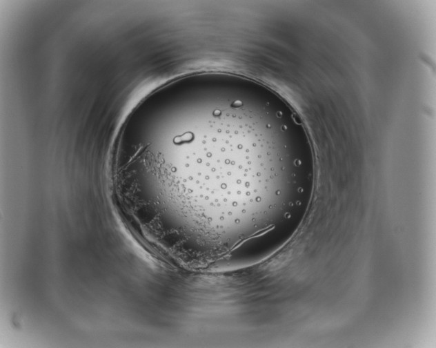 X0000099301056200805021227