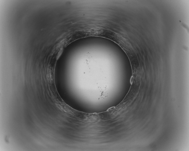 X0000099301058200805021226