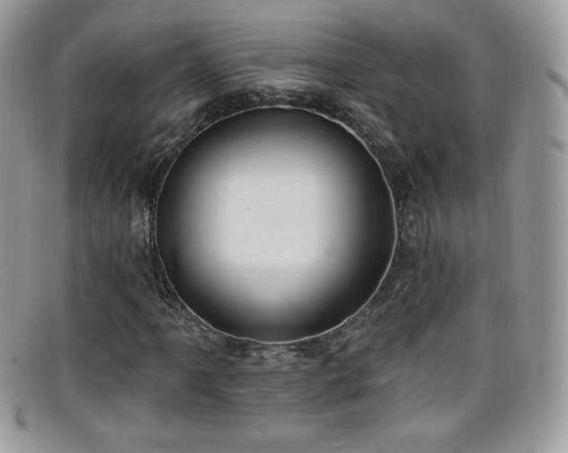 X0000099301061200805021226