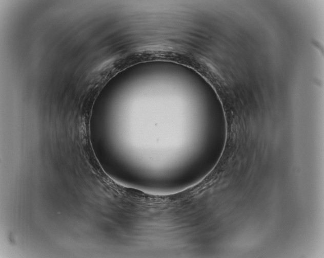 X0000099301062200805021226