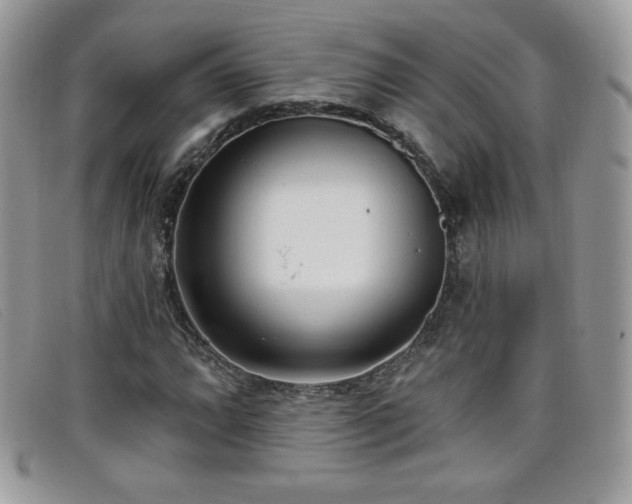 X0000099301064200805021226