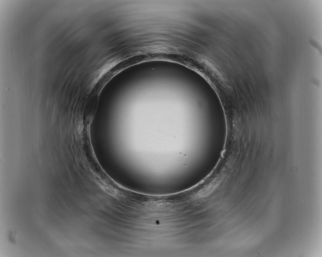 X0000099301065200805021226