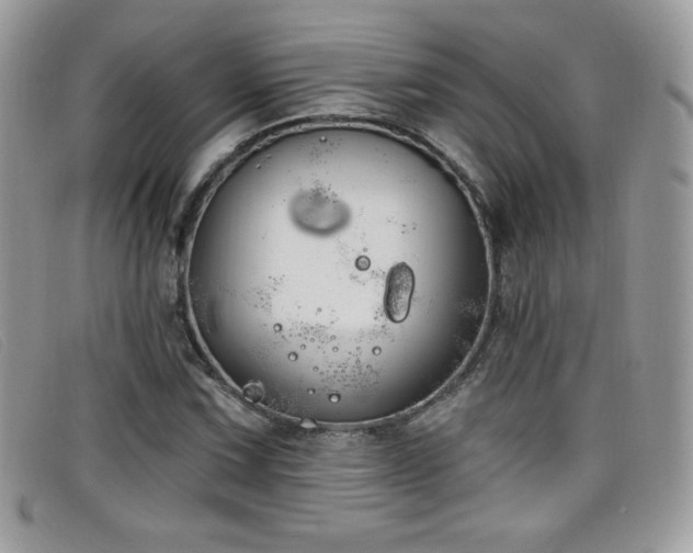 X0000099301067200805021226