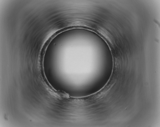 X0000099301068200805021226