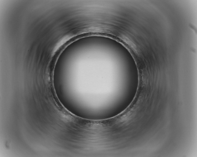 X0000099301070200805021226