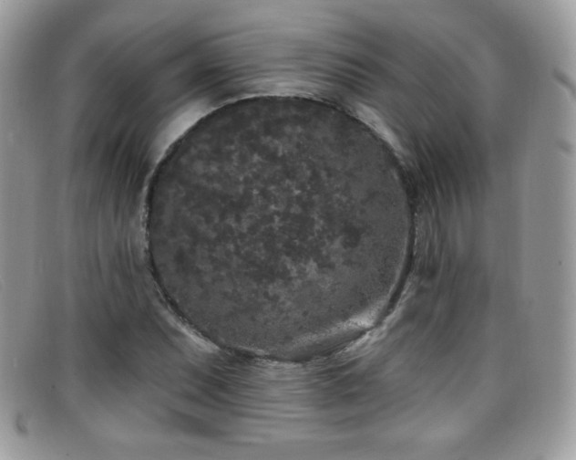 X0000099301071200805021226