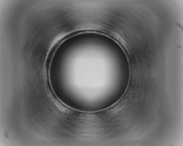 X0000099301072200805021226