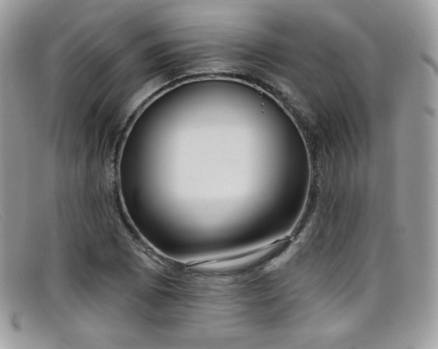 X0000099301073200805021226