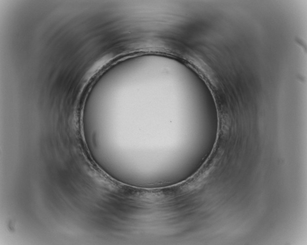 X0000099301074200805021226