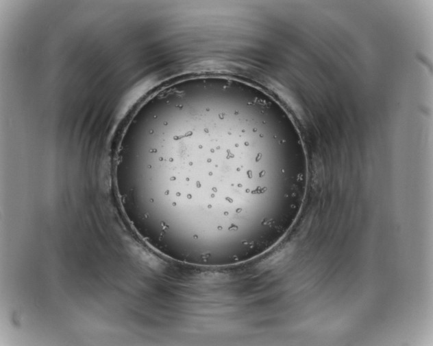 X0000099301075200805021226