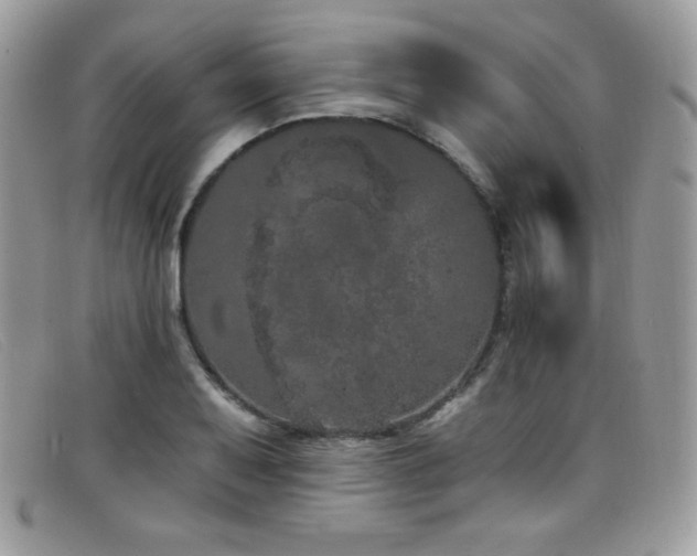 X0000099301079200805021226