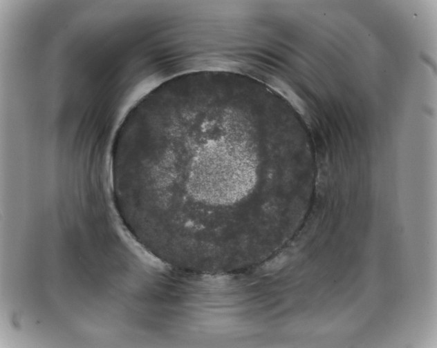 X0000099301080200805021226