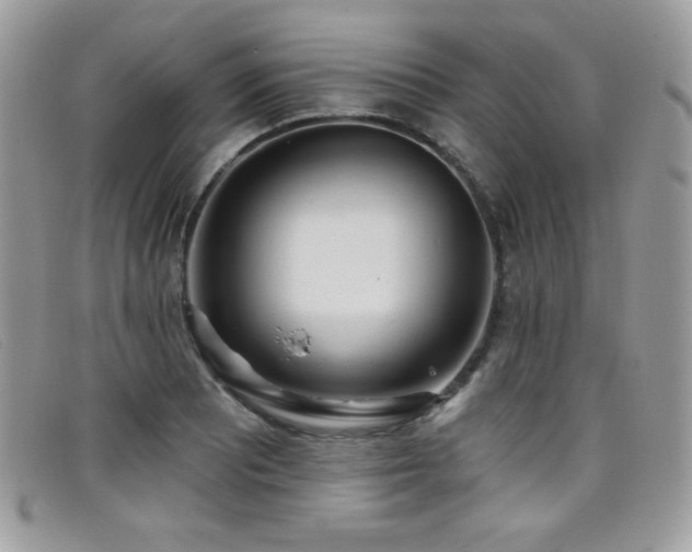 X0000099301081200805021226