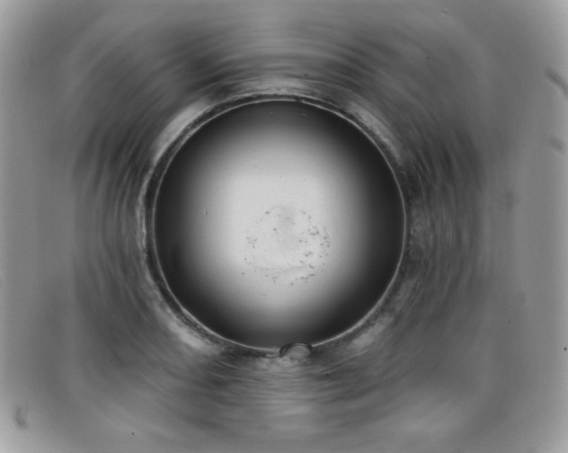 X0000099301082200805021226