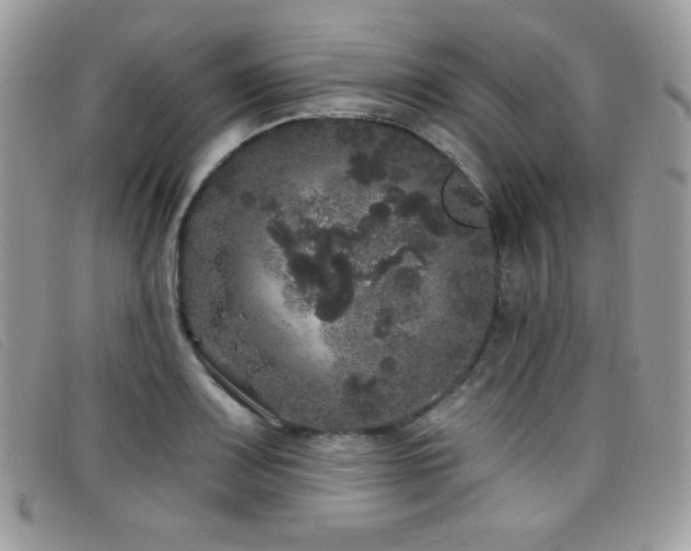 X0000099301083200805021226