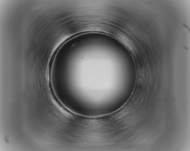 X0000099301084200805021226