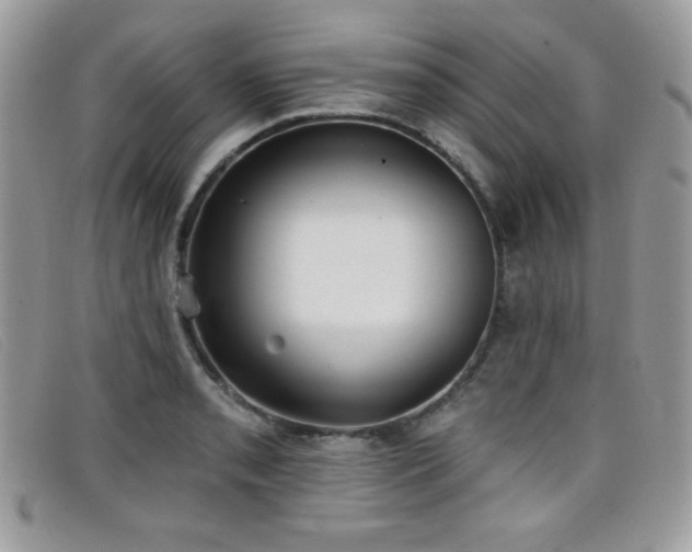 X0000099301085200805021226