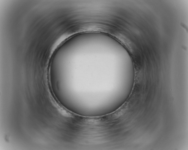 X0000099301086200805021226