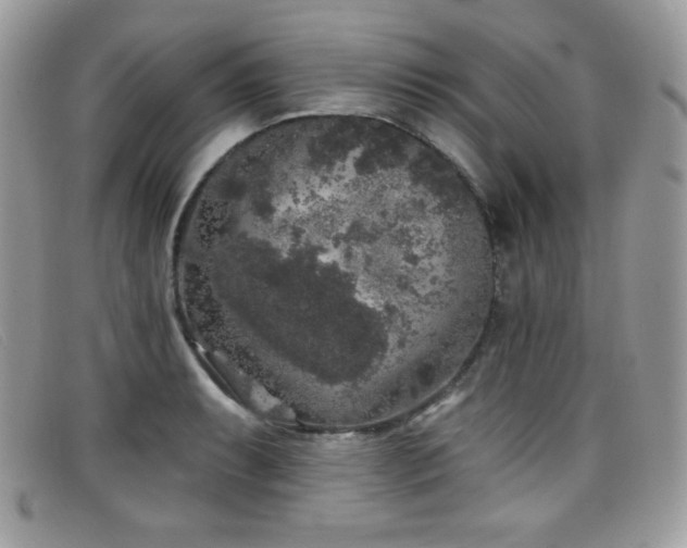 X0000099301087200805021226