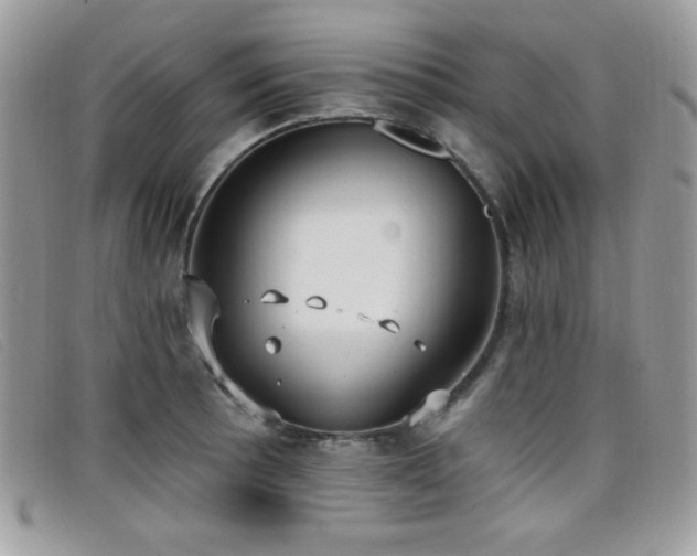 X0000099301089200805021226