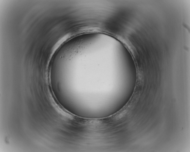 X0000099301090200805021226