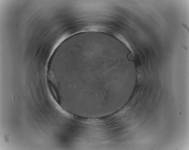 X0000099301091200805021226