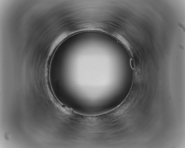 X0000099301096200805021226