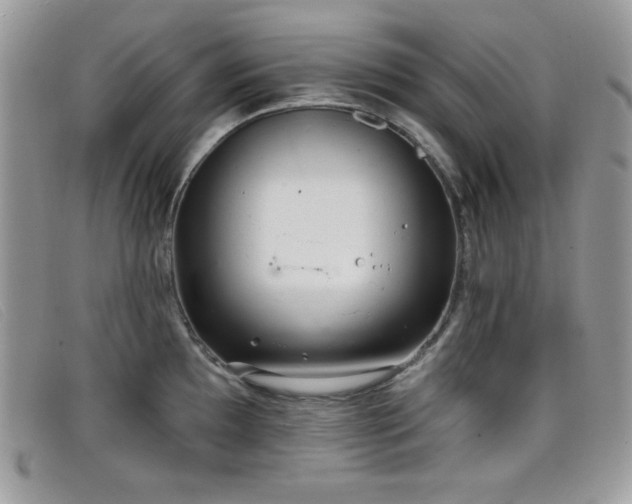 X0000099301097200805021226