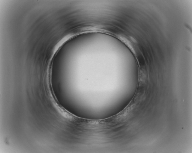 X0000099301098200805021226