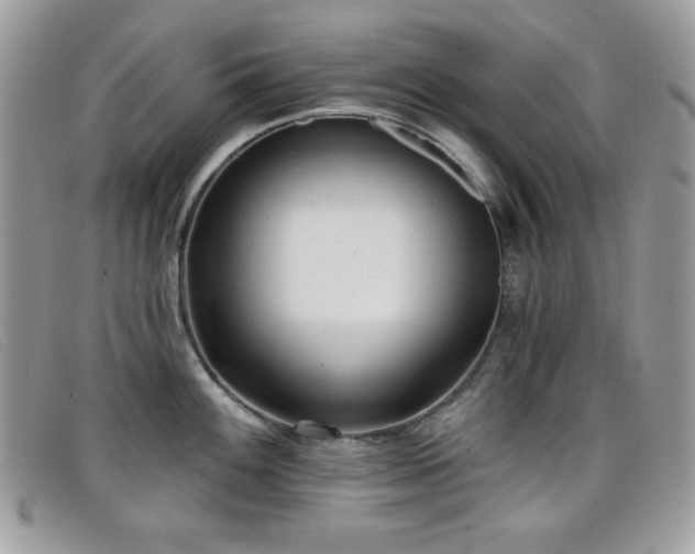 X0000099301100200805021226