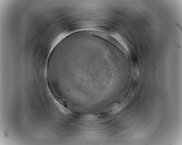 X0000099301101200805021226