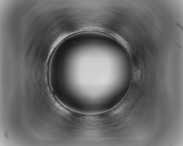 X0000099301102200805021226