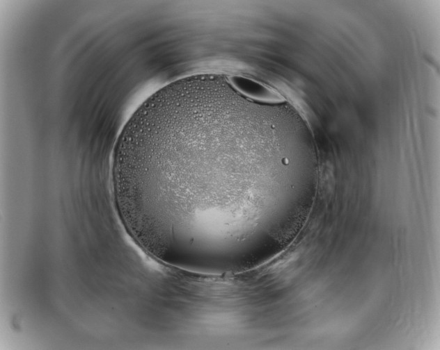 X0000099301103200805021226