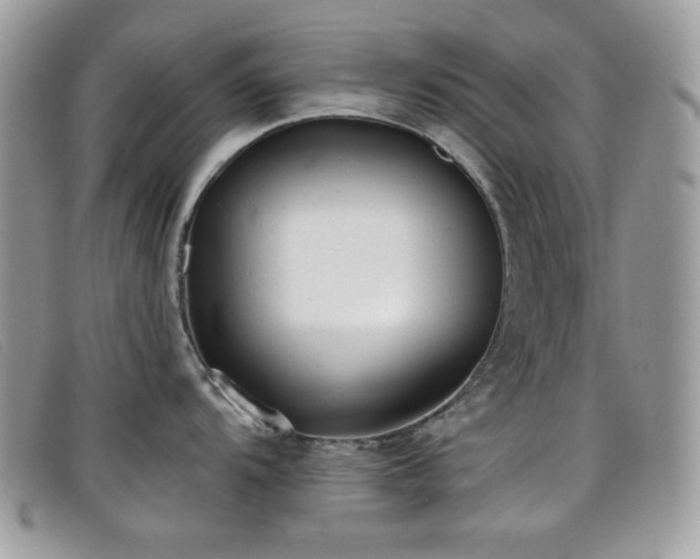 X0000099301104200805021226