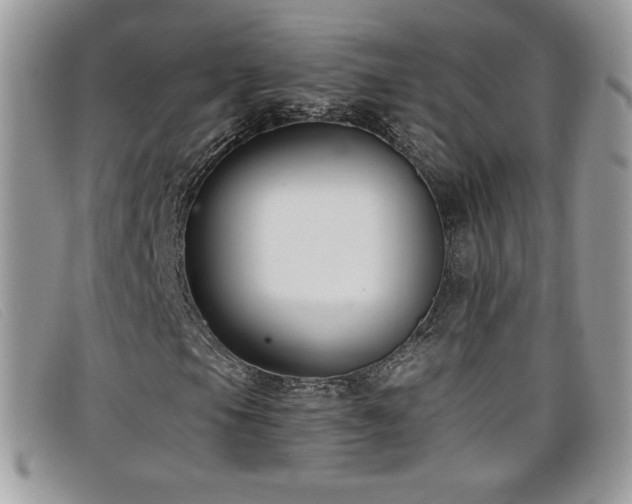 X0000099301105200805021225