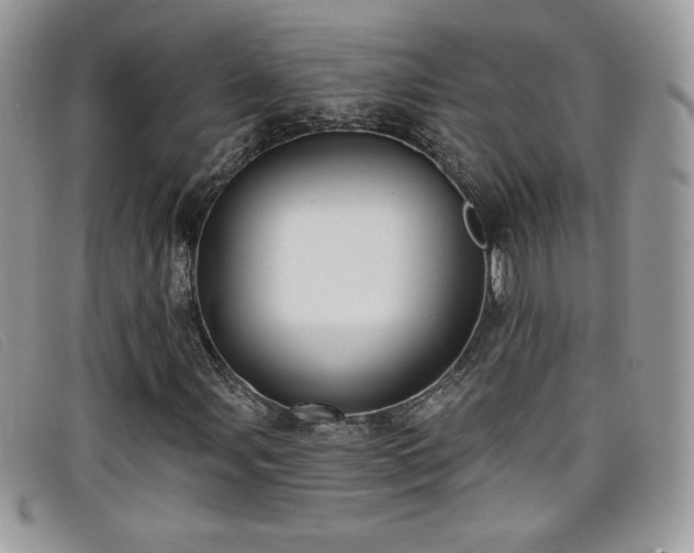 X0000099301107200805021225