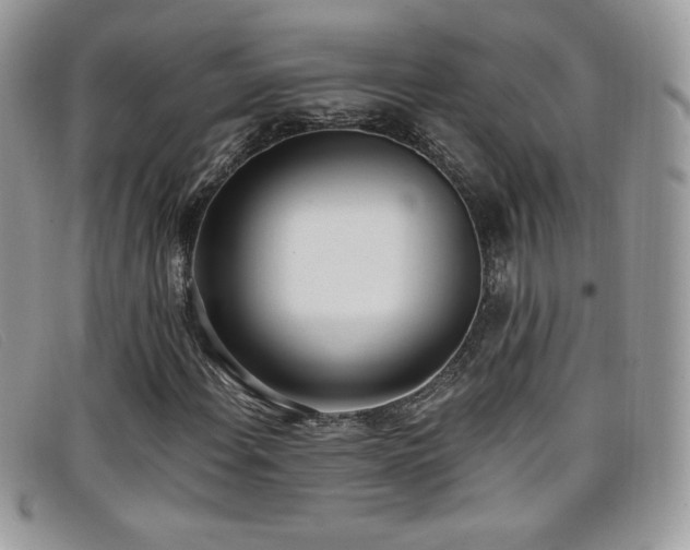 X0000099301108200805021225