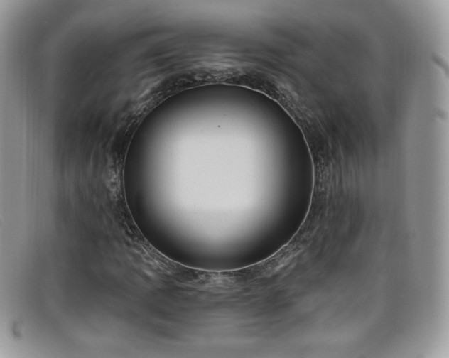 X0000099301109200805021225