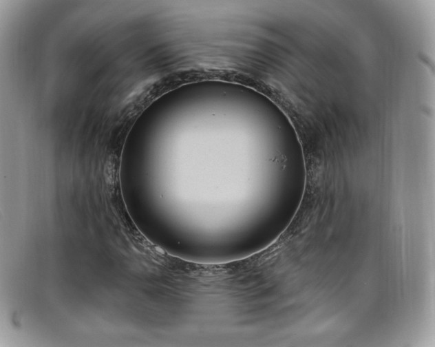 X0000099301110200805021225