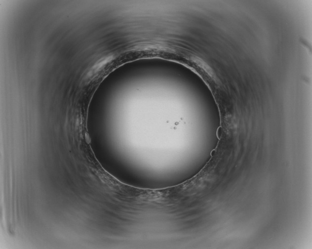 X0000099301111200805021225