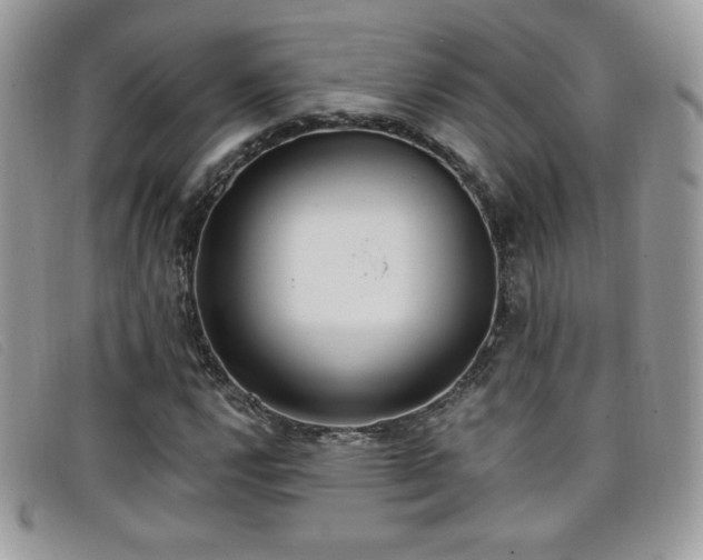 X0000099301112200805021225