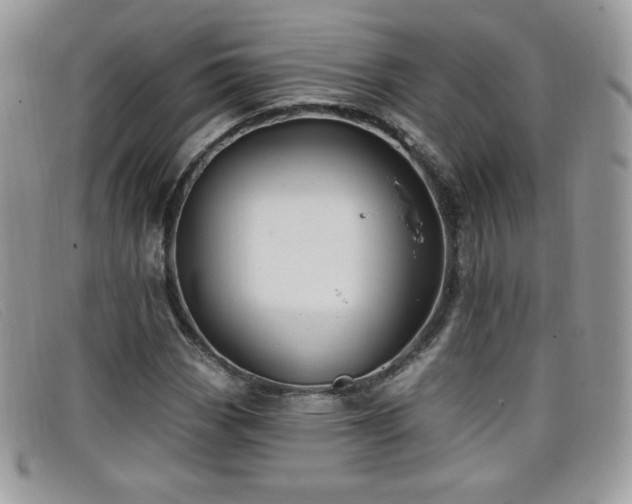 X0000099301113200805021225